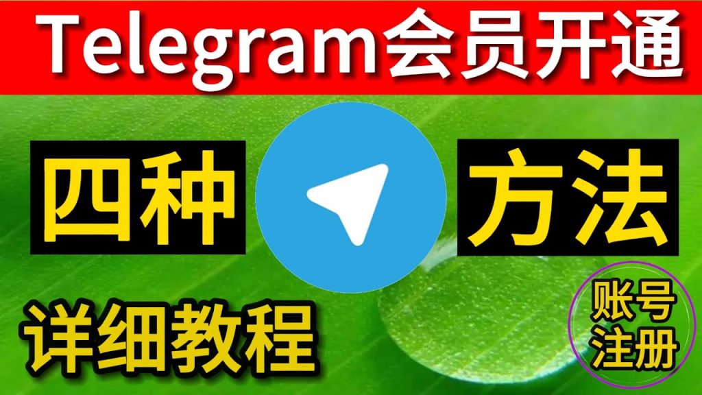 Telegram 会员订阅入口在哪？完整操作教学